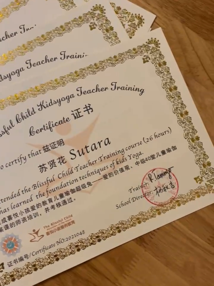 国际幼儿教育协会证书，幼儿教育国际化的领航资质