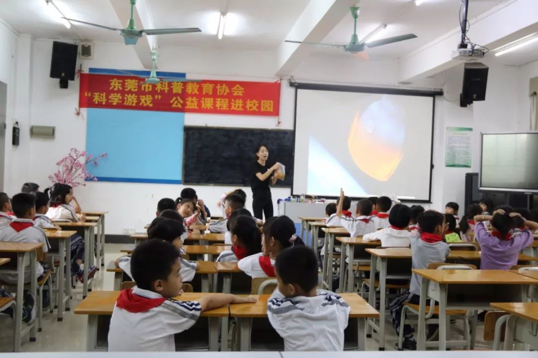 教育口协会概述及其重要性探讨