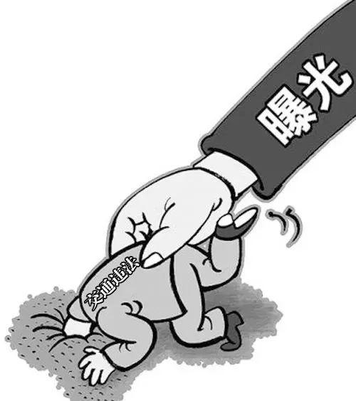 新余教育培训协会官网，引领教育培训行业新标杆发展之路