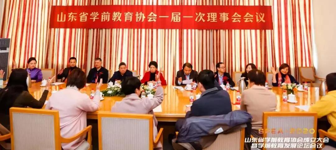 学前教育协会，定义、功能与重要性解析