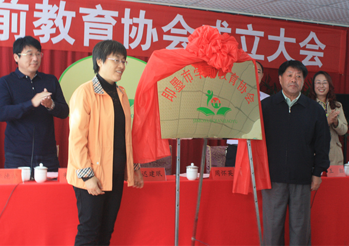 学前教育协会是啥，定义、功能与重要性