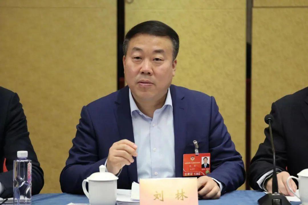民办教育协会中的刘林，引领与探索