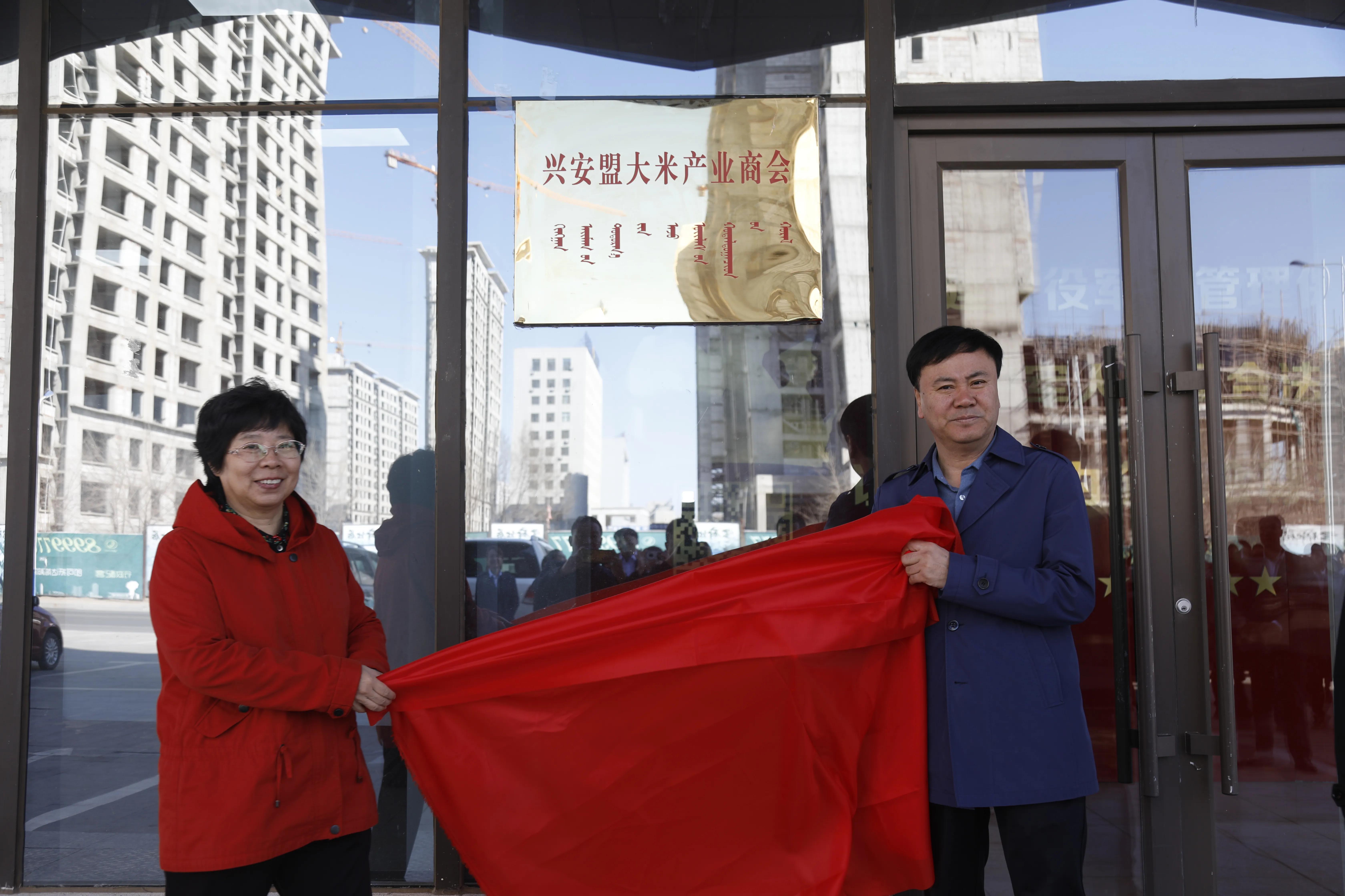 内蒙古教育协会注册的全面解析