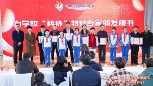 教育集团与协会的共生共荣，探讨教育集团的协会成立之路