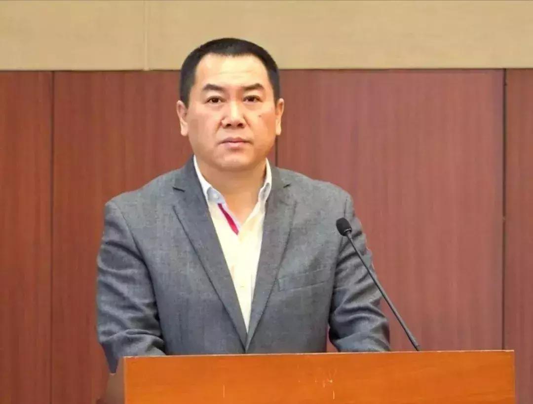 教育协会个人简历概览