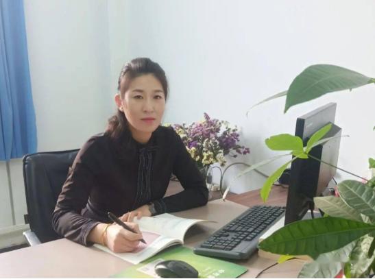 河北省教育协会名单概览