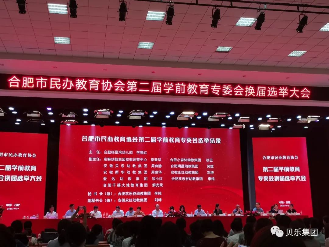 安徽民办教育机构协会，引领民办教育，共创辉煌未来