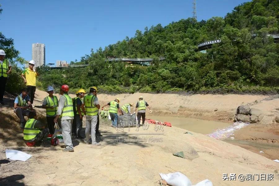石景山教育协会矿山分会，推动地区教育的卓越发展