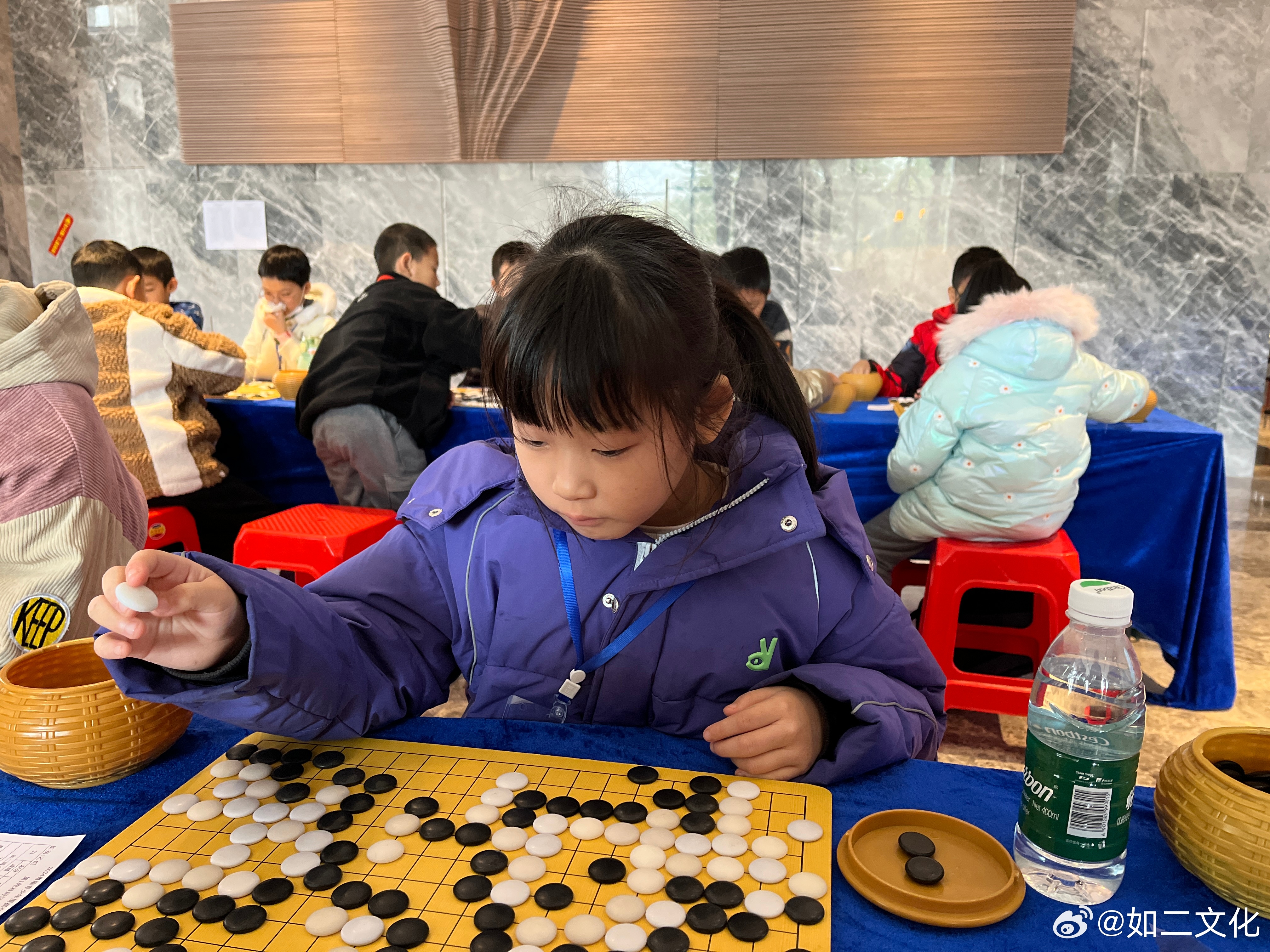 儿童围棋教育协会官网，引领儿童围棋教育的未来之路
