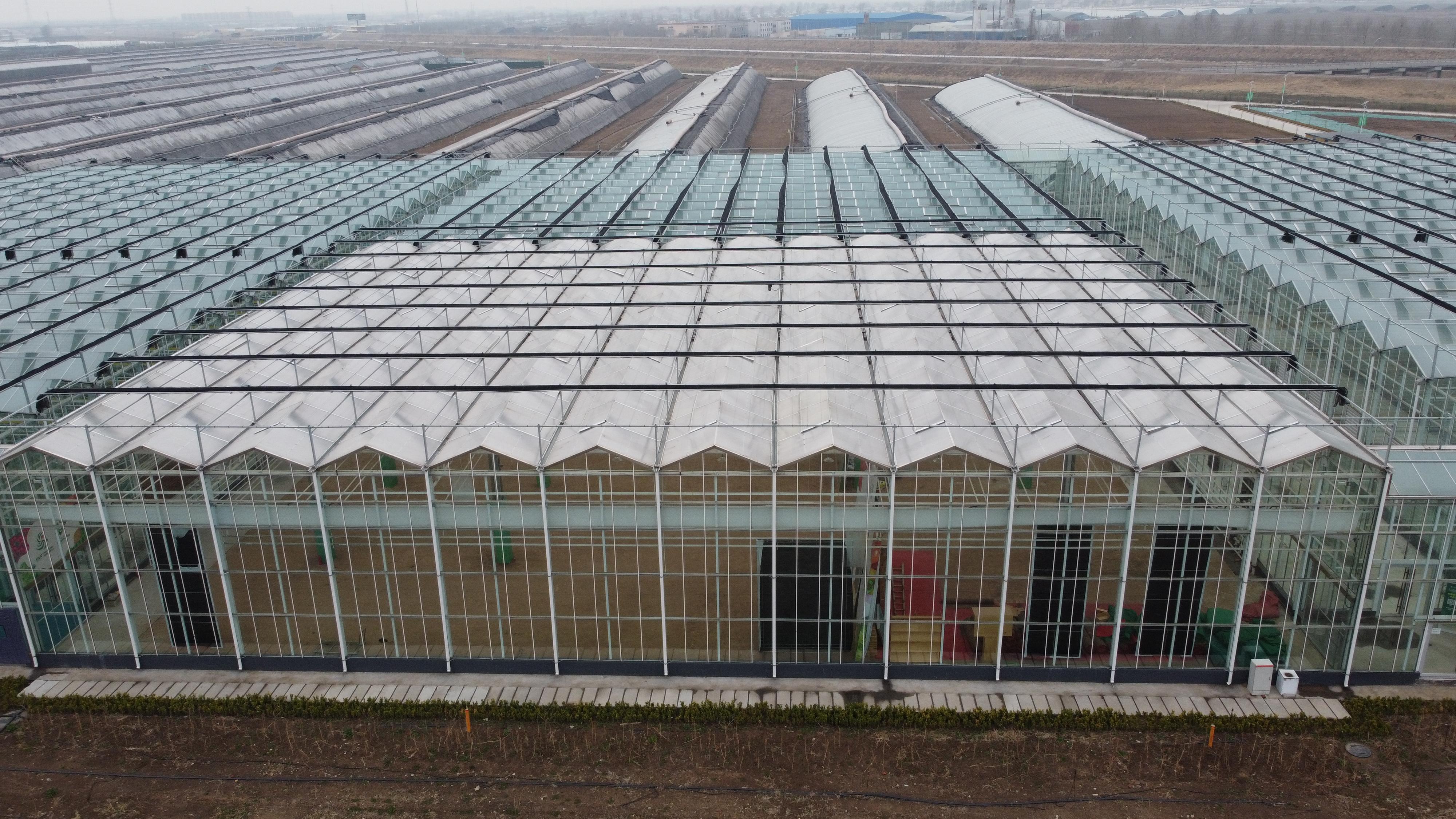 教育协会智能建造师新模式，培养新时代建筑领域人才领军力量