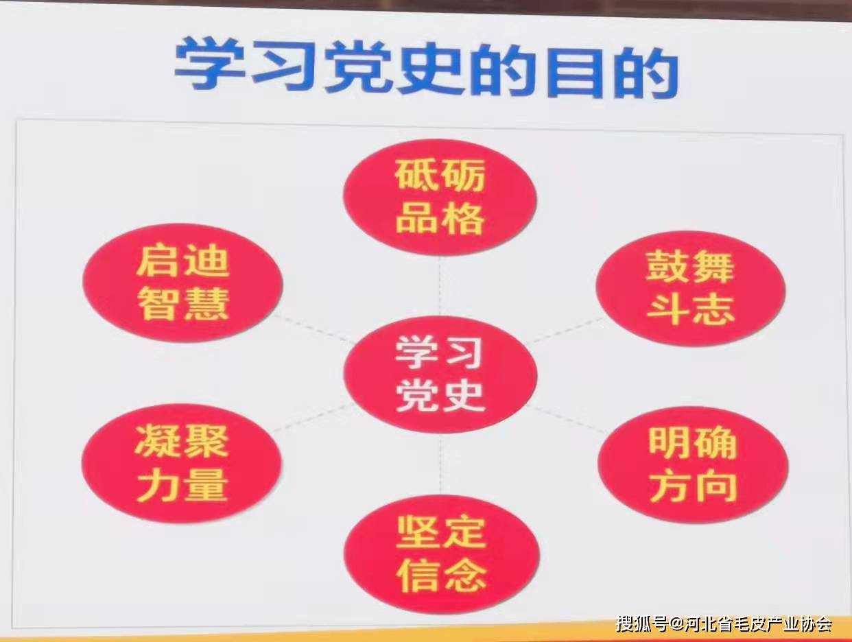 协会党史学习教育总结报告