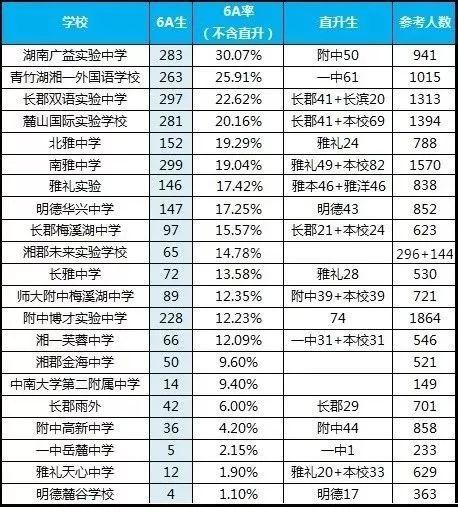 经开区民办教育协会，推动区域教育发展的重要力量
