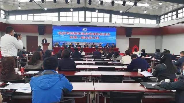 西陵县民办教育协会，推动区域教育发展的重要力量