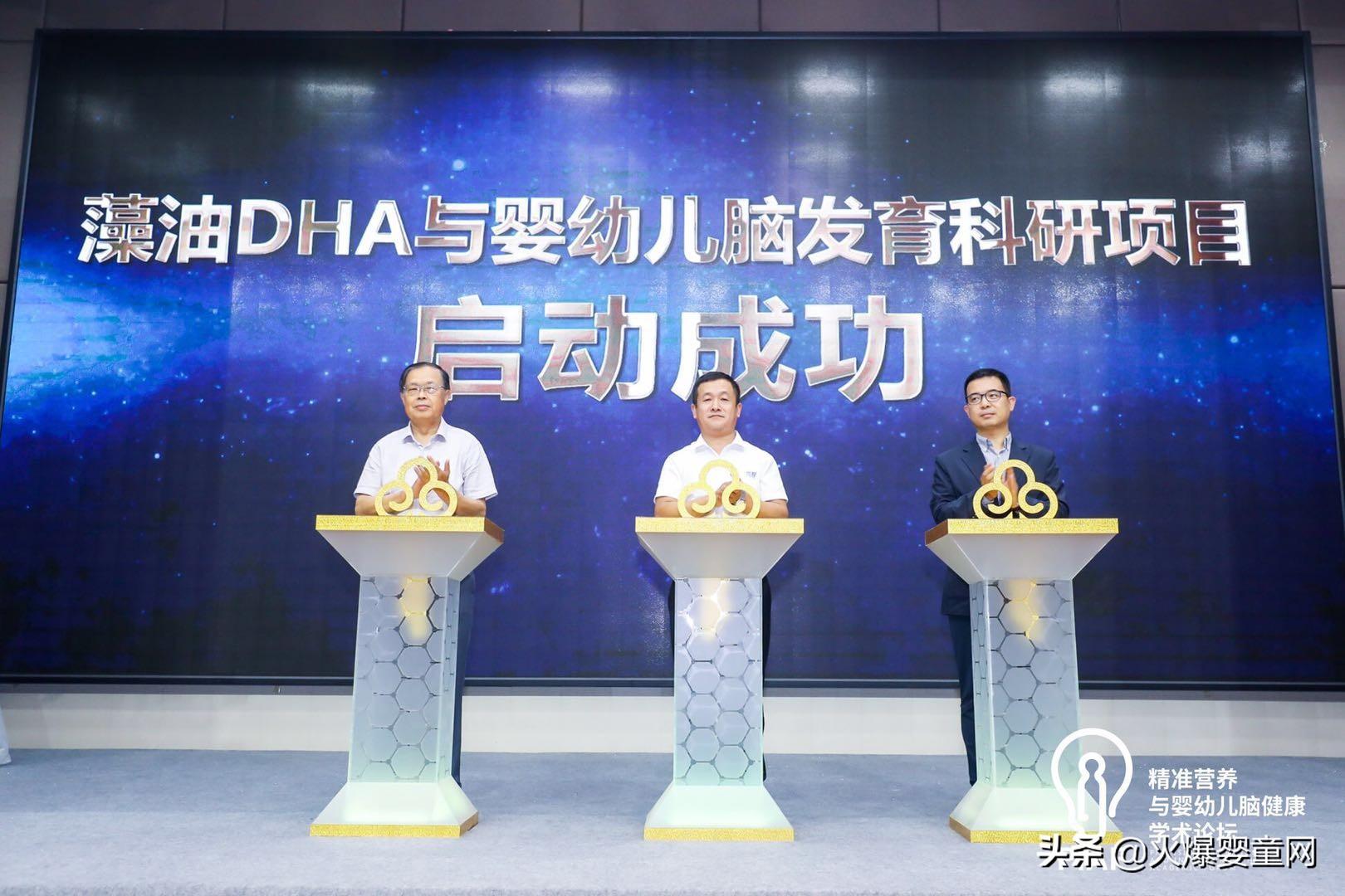 国际婴幼儿教育协会，引领全球婴幼儿教育的新时代
