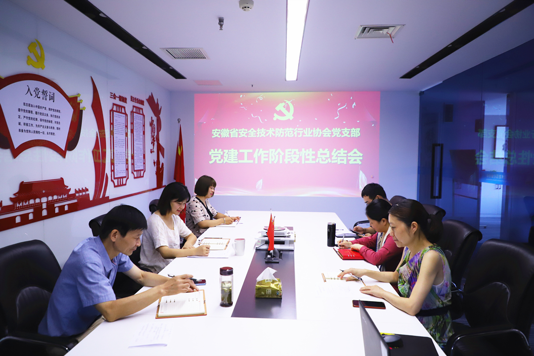 协会党支部主题教育总结报告