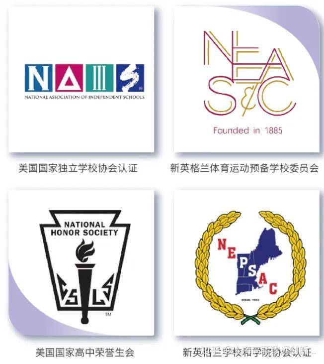 美国素质教育协会官网，探索美国素质教育的核心力量