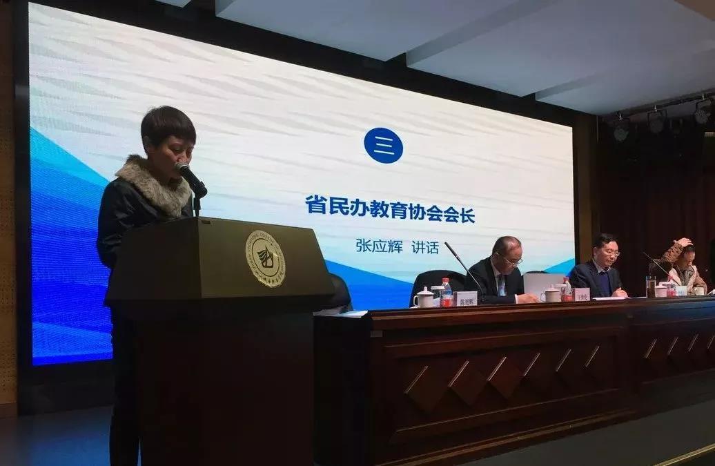 民办教育协会的角色与贡献，探究其在中国的教育领域影响力