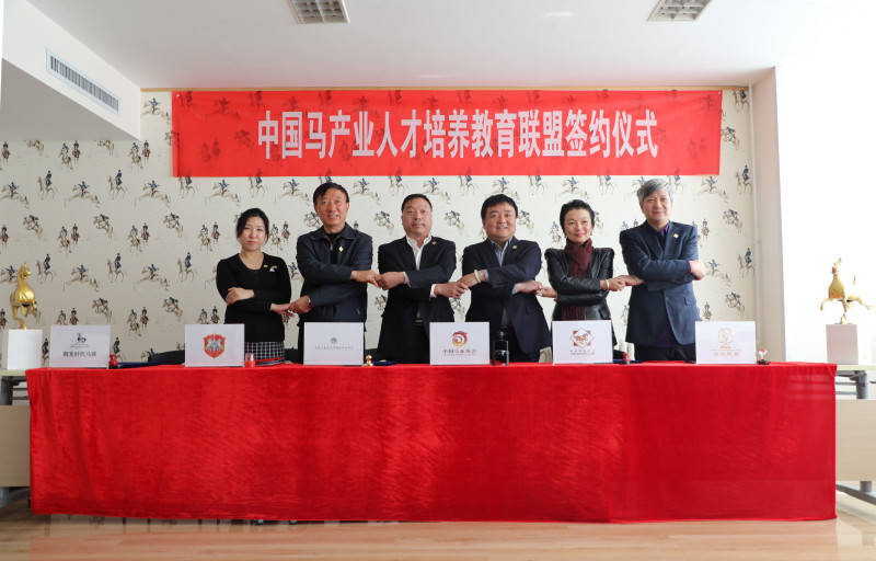 中国联围棋教育协会官网，围棋教育与数字化时代的融合