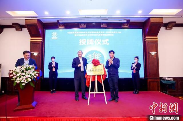全国教育发展战略协会，引领变革，塑造未来教育之光