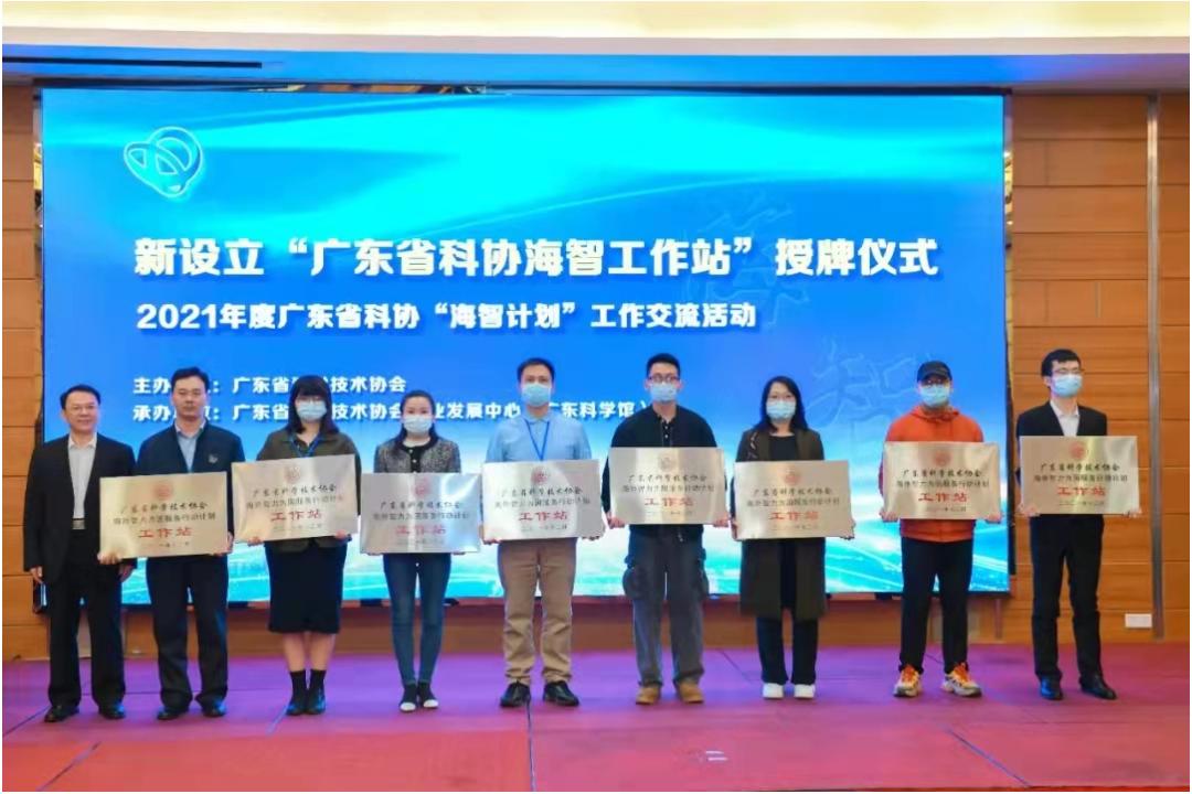 大湾区家庭教育协会，引领家庭教育新篇章