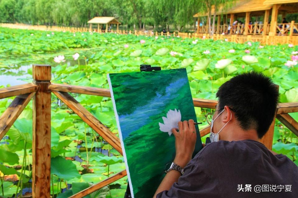 银川市幼儿教育协会，引领幼儿教育发展的先锋力量