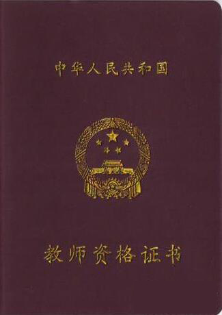 中国成人教育协会幼师证的重要性及其在现代教育中的价值