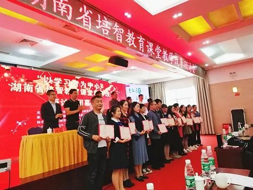 湖南民办教育协会的苏晚辉，引领与担当的力量典范