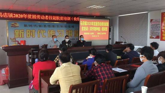 霍邱县夏店镇教育协会，引领乡村教育，培育未来之星