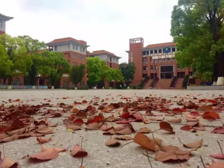 教育部负责人解读乡村小规模学校和乡镇寄宿制学校建设指导意见
