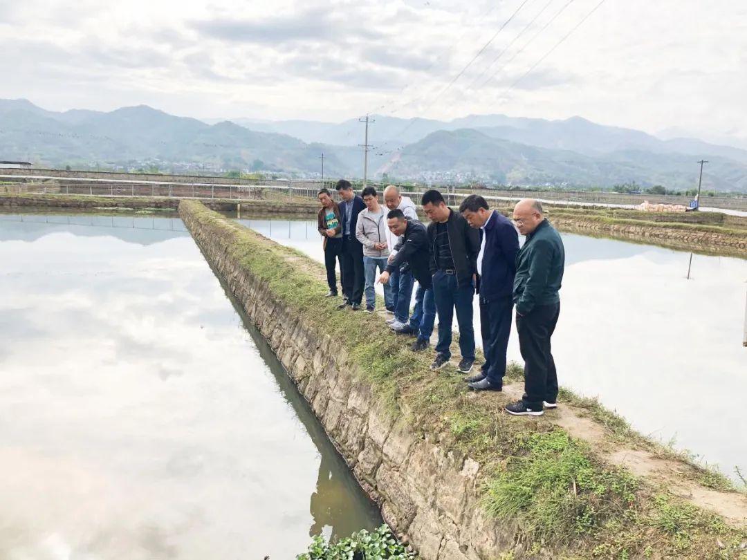 关于全面改善贫困地区薄弱学校基本办学条件的意见答记者问