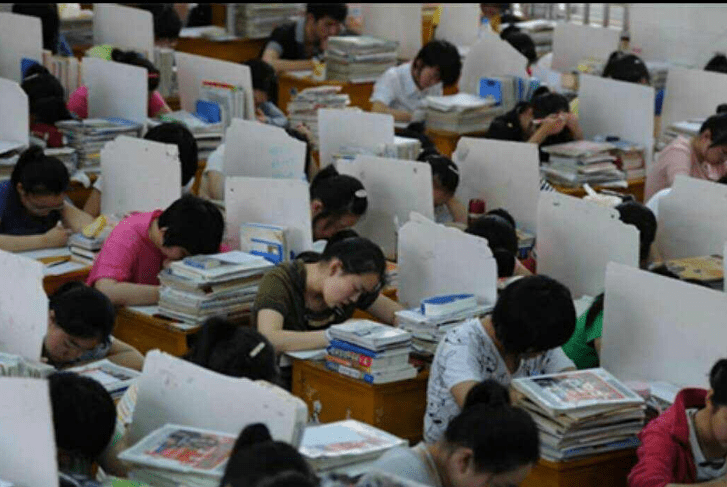 教育部有关负责人就关于全面提高高等教育质量的若干意见答记者问