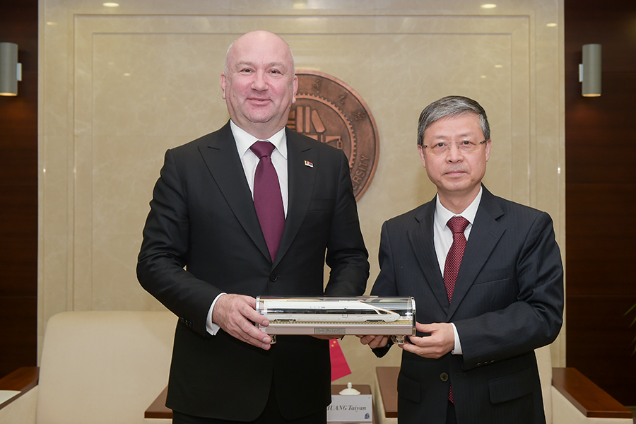 吴岩访问斯洛伐克，跨越国界的友谊与文化交流