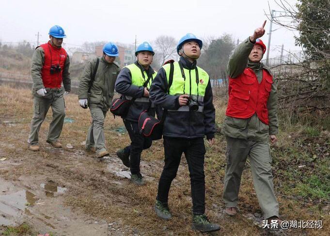 陈杰出席联合国教科文组织执行局会议，推动全球教育变革与合作的积极行动进程