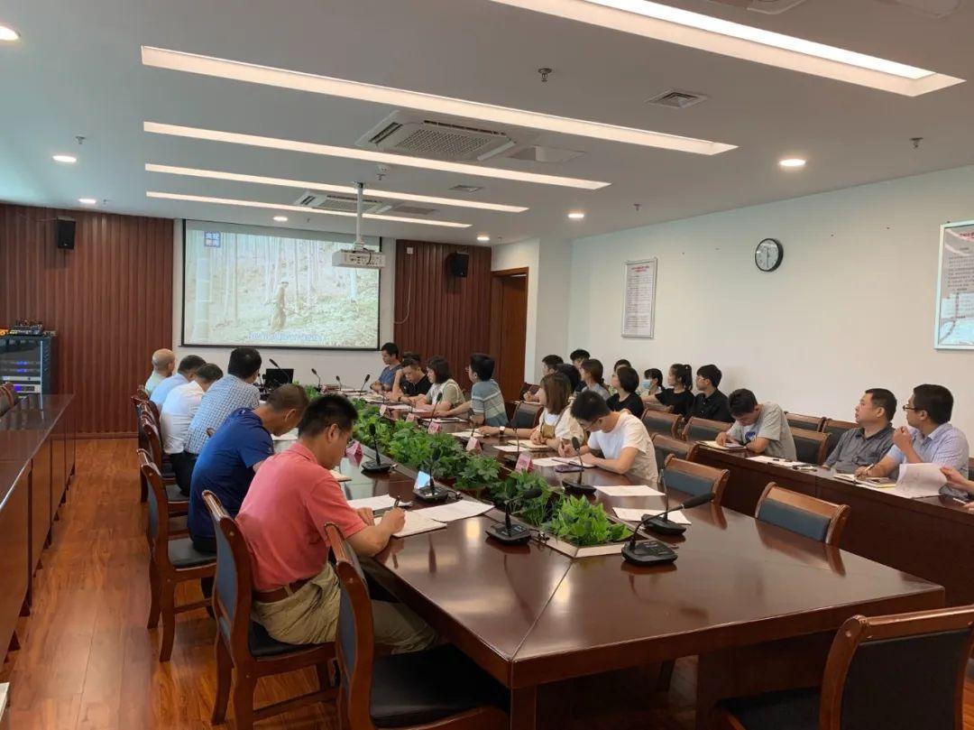 确保教育强国建设，高起点布局与高质量推进