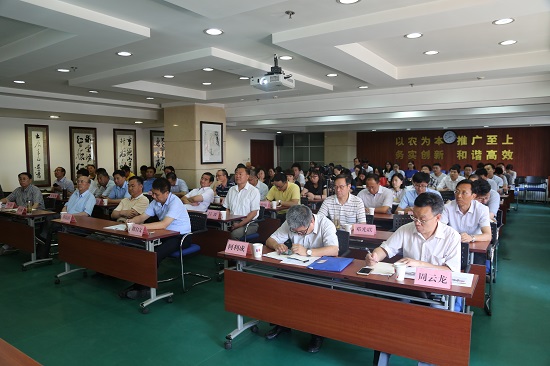 教育强国建设要正确处理好几个重大关系——论学习贯彻习近平总书记在全国教育大会上重要讲话