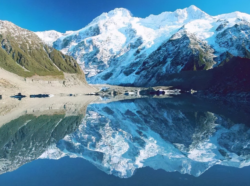 Cardano Midnight大规模Glacier空投详解，你需要知道的一切