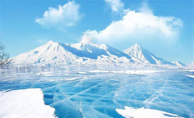 Cardano Midnight推出大规模Glacier空投，你需要知道的一切
