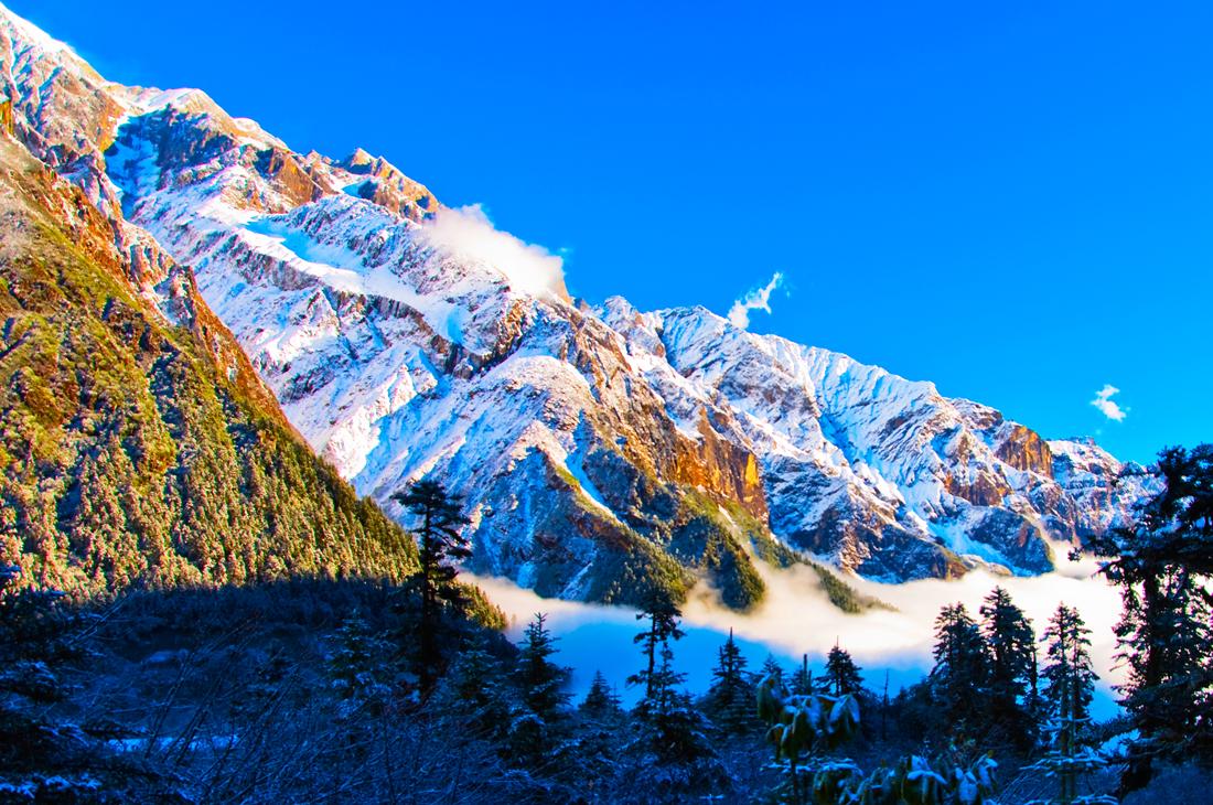Cardano Midnight推出大规模Glacier空投，你需要知道的一切